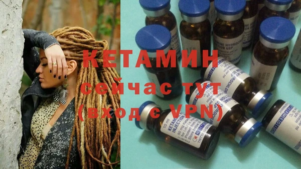 сатива Гусь-Хрустальный