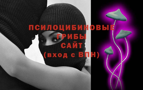 сатива Гусь-Хрустальный