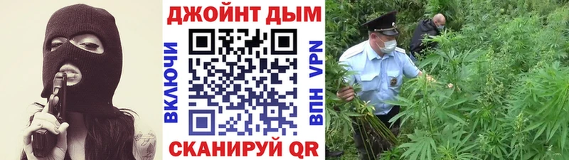 Купить где Чадан Марихуана Ganja